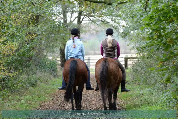 Neue Ferienwohnungen direkt am Wasser mit tollen Reitgelände - auch mit Gastboxen