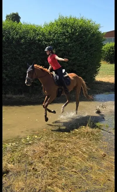 Reliable leisure partner