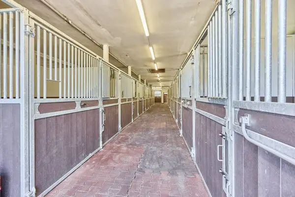 Reitanlage in NRW Nähe Münster zu verkaufen – Modernes Landhaus, Reithalle, Springplatz und 33 Boxen