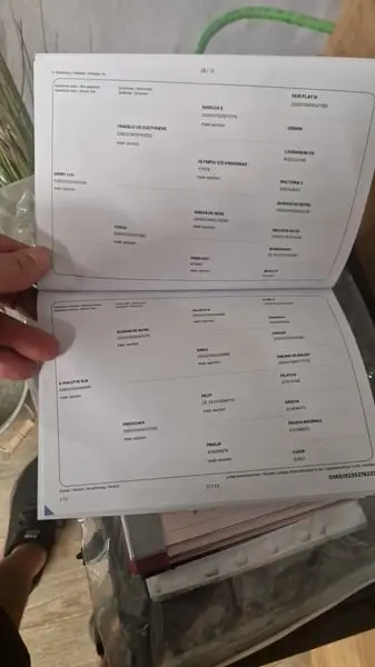 Wirklich schöner 3-jähriger Wallach, der ein neues Zuhause sucht.