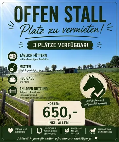 Plaza en establo abierto en alquiler – 3 plazas disponibles
