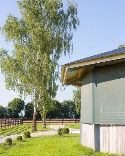 Gestüt Birkenhof - Freie Boxen - artgerechte Pferdehaltung & professioneller Beritt