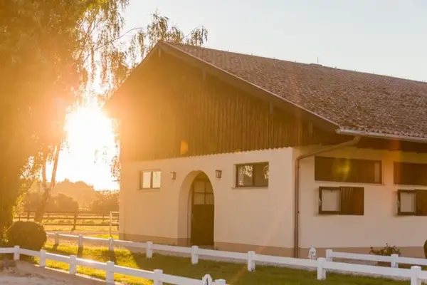 Gestüt Birkenhof - Freie Boxen - artgerechte Pferdehaltung & professioneller Beritt