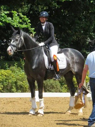Vollberitt Dressur/ Anreiten - S***