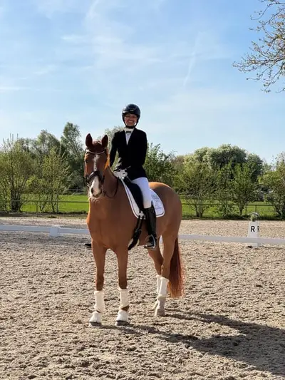 Vollberitt Dressur/ Anreiten - S***