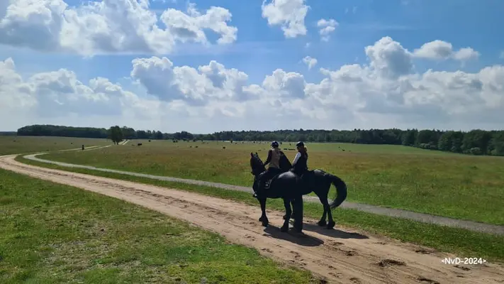 Pferdehotel in der Veluwe!!