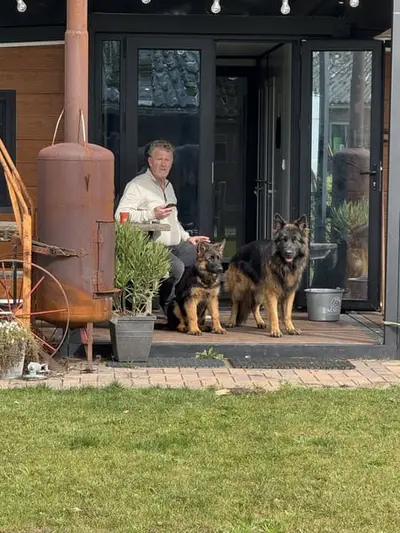 Pferdehotel in der Veluwe!!