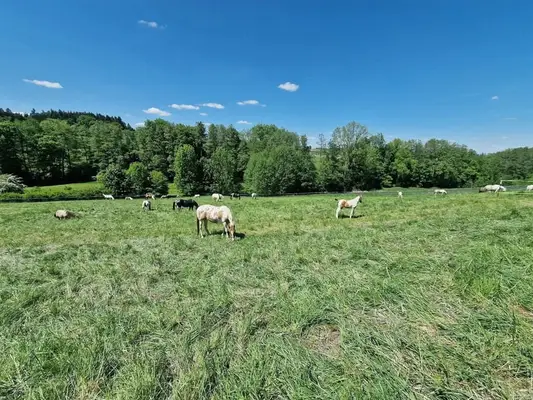 Aktivstall in neuer Anlage frei