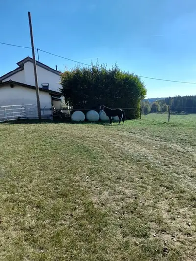 Endmaß Pony
