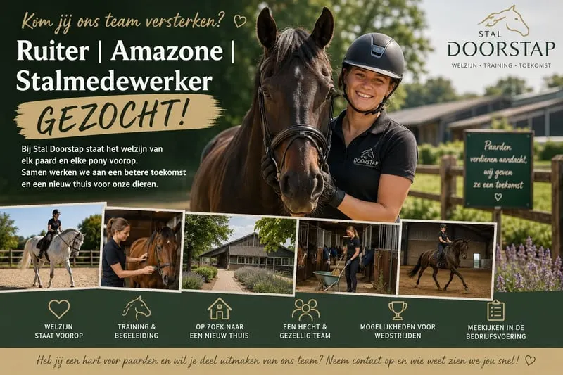 Reiterin | Reiter | Stallmitarbeiter gesucht