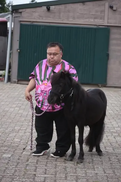 Korrekte, wunderschöne, tiefschwarze Twenter Shetland-Hengst