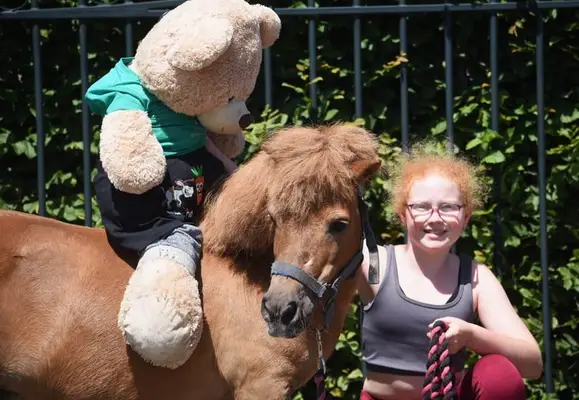 Wunderschöne Shetland-Pony-Stute mit goldenem Herzchen