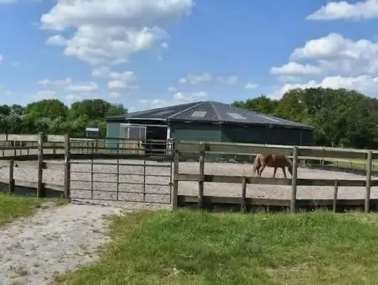 Grandes establos disponibles – cuidado de caballos independiente y profesional
