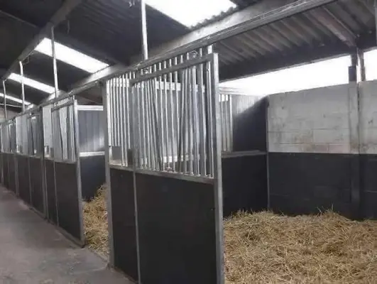 Grandes establos disponibles: cuida caballos de forma independiente y profesional