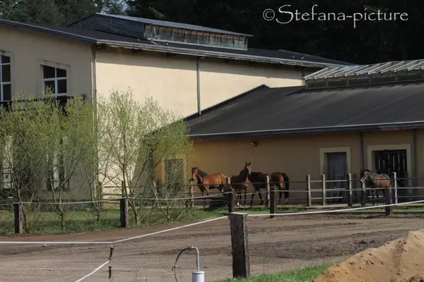 Aufzuchtplätze frei