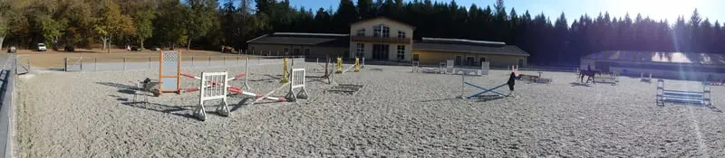 Seele baumeln lassen mit Ihren liebsten Vierbeinern im wunderschönen naturnahen Schlossgestüt Gadow
