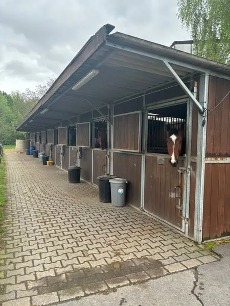 Box frei
