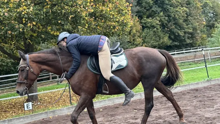 Ängste beim Reiten abbauen – mit Falltraining 27.06.26 oder ganzes Wochenende