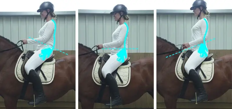 Biomechanisch korrektes Reiten – Reiter/Pferd 20.06.26 auch mit Übernachtung/Reitstunden