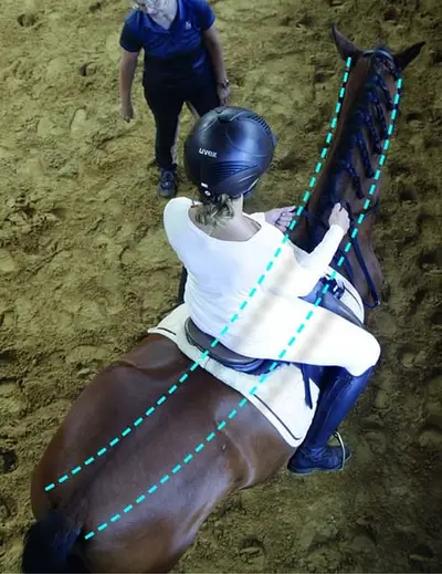Biomechanisch korrektes Reiten – Reiter/Pferd 20.06.26 auch mit Übernachtung/Reitstunden