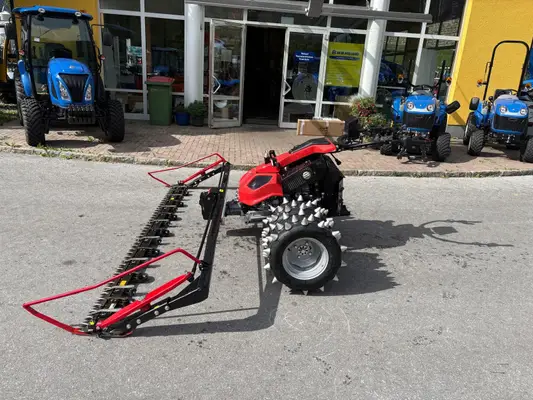 Aebi CC 161