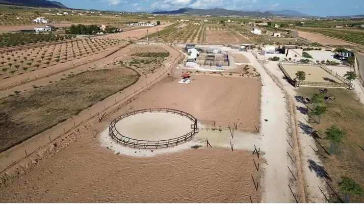 LUXURY EQUESTRIAN ESTATE WITH LUXURY LANDHOUSE