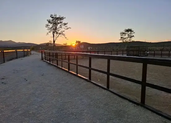 LUXURY EQUESTRIAN ESTATE WITH LUXURY LANDHOUSE