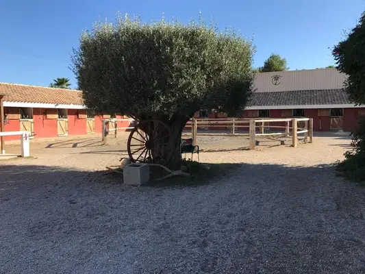 WUNDERSCHÖNE, EXCLUSIVE REITANLAGE IN VALENCIA