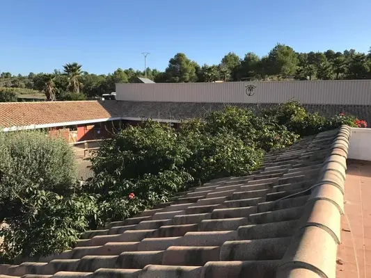WUNDERSCHÖNE, EXCLUSIVE REITANLAGE IN VALENCIA