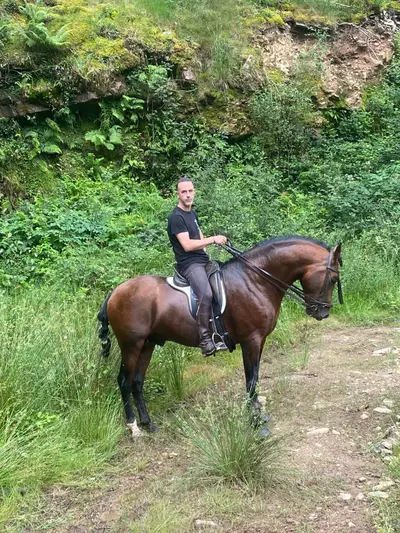 Three-blood horse