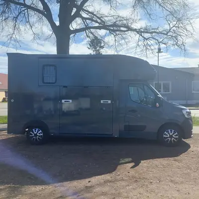 MSG Pferdetransporter Renault Master Stablehopper NEU