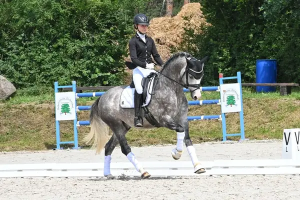 Charmanter HLP-Sieger!