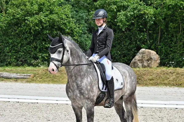 Charmanter HLP-Sieger!