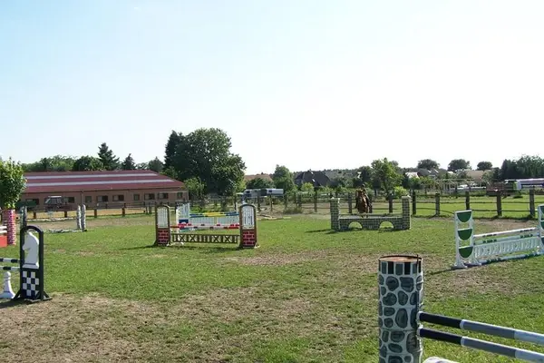 Pferde Pension Boxen frei Weide Reithalle Spring- und Dressurplatz