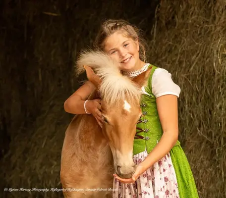 Sie suchen den passenden Haflinger