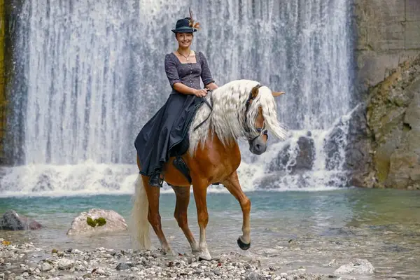 Sie suchen den passenden Haflinger