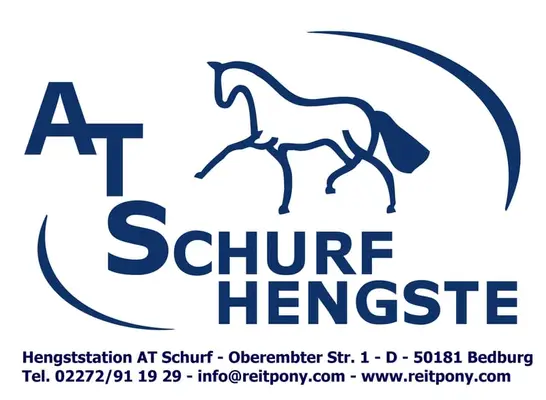 Refuerzo, cuidador de caballos (m/f) para el equipo de la estación de sementales AT Schurf, 50181 Bedburg