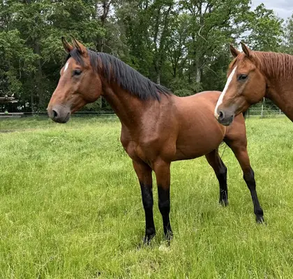 Partner for life with great potential