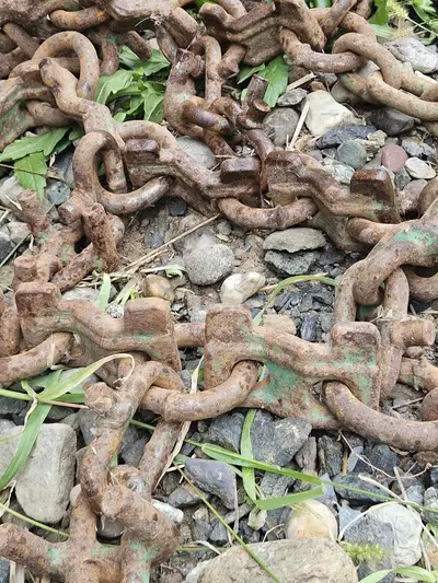 Netzketten
