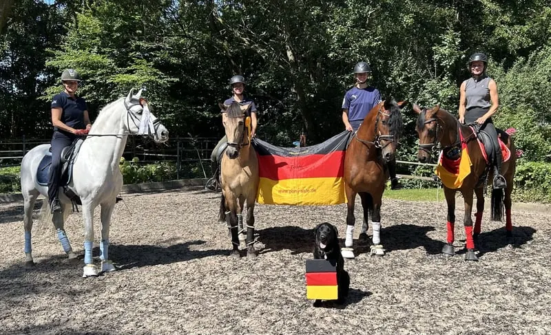 Praktikum und Ferien mit Pferd ,evtl, Ausbildung z.Pferdewirt