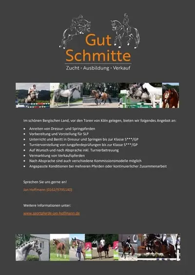 Anreiten/Beritt/Untericht/Vermarktung