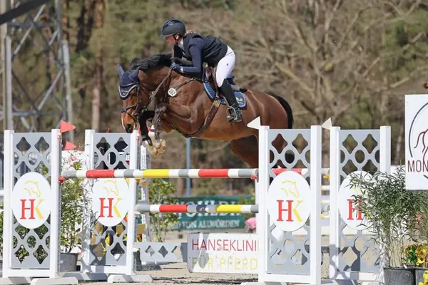 Cheval de saut fiable