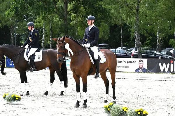 Dressurtraining, Verkauf und Ausbildung von Dressurpferden bis zum Grand Prix