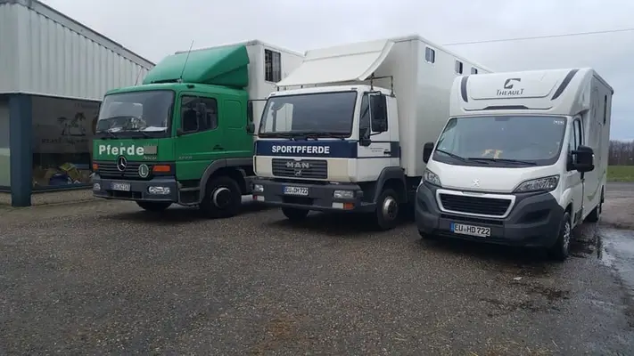 Pferdetransport zu JEDEM Ziel