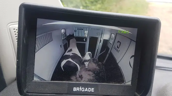 Pferdetransport zu JEDEM Ziel