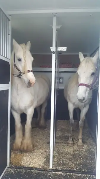 Pferdetransport zu JEDEM Ziel