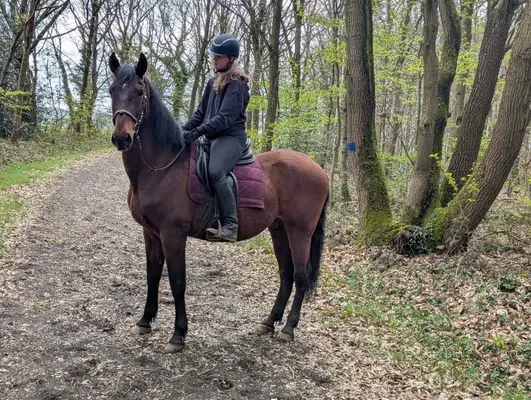 Caramello TC II mit Lebenserfahrung