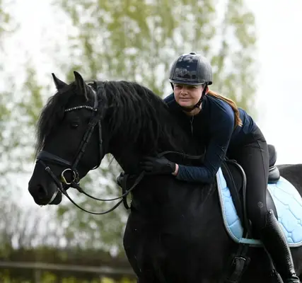 Mutiger Friese Hengst Wappie