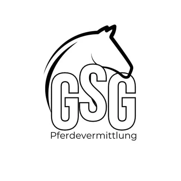 •Ausbildung • Beritt • Vermarktung
