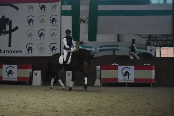 Caballo de doma con carácter excelente, ya ha obtenido éxitos en doma clásica.